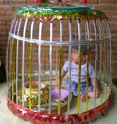 Yuk, Berkenalan Dengan Tradisi Ini! Dibalik Kandang Ayam