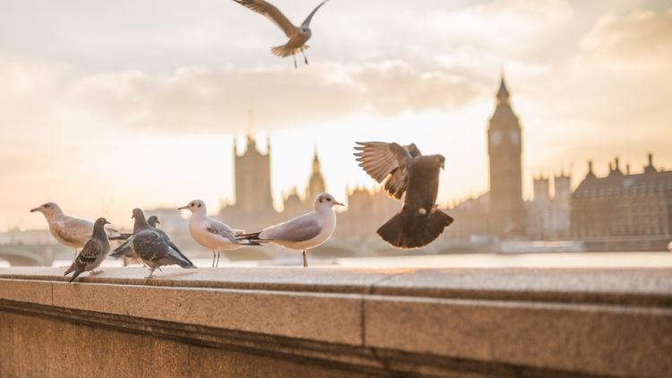 8 Tempat Di UK yang Instagramable Banget. Bikin Feed Instagram Kamu Makin Keren!