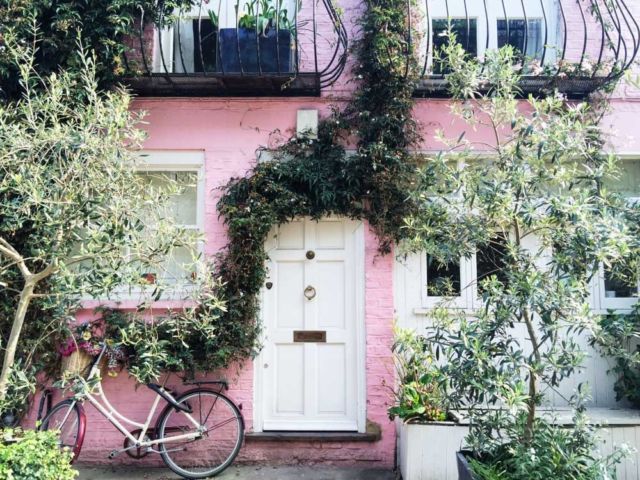 pink