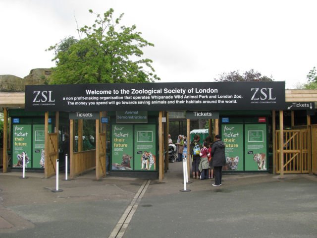 Dari A Sampai Z, Inilah Alasan Kenapa Kamu Harus Traveling ke Britain! 26 Zoological Society of London