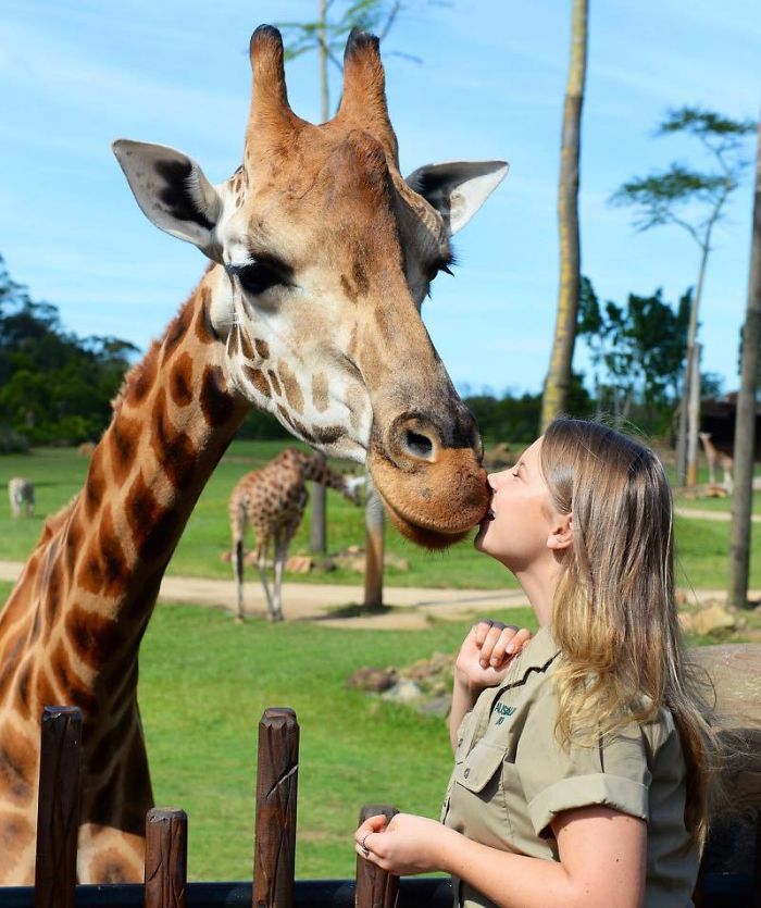 Kenalan sama Bindi Irwin, Yuk! Gadis Cantik Asal Australia yang Akrab Banget dengan Binatang Buas