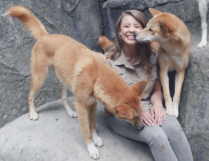 Kenalan sama Bindi Irwin, Yuk! Gadis Cantik Asal Australia yang Akrab Banget dengan Binatang Buas
