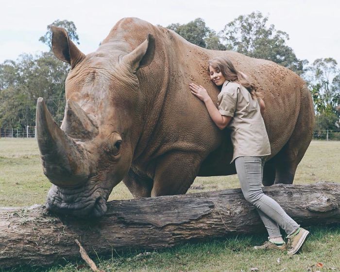 Kenalan sama Bindi Irwin, Yuk! Gadis Cantik Asal Australia yang Akrab Banget dengan Binatang Buas