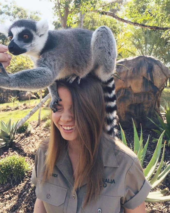 Kenalan sama Bindi Irwin, Yuk! Gadis Cantik Asal Australia yang Akrab Banget dengan Binatang Buas