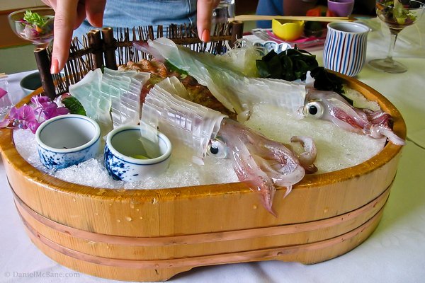 8 Hewan yang Emang Sering Dimakan Hidup-hidup di Seluruh Dunia. Semut Pun Dibuat Jadi Salad!