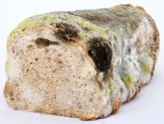 10 Fakta Penting Klip Kemasan Roti Tawar yang Sering Terabaikan, Kecil tapi Besar Perannya