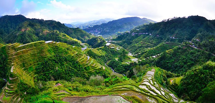 Ini Lokasi Sawah Tempat Syuting Film Avengers: Infinity War. Banyak yang Mengira Bali Lho!