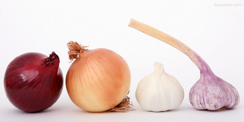 Bagi yang Suka Pakai-Pakai Bawang Buat Masak, Inilah 10 Jenis Bawang yang Ada di Dunia