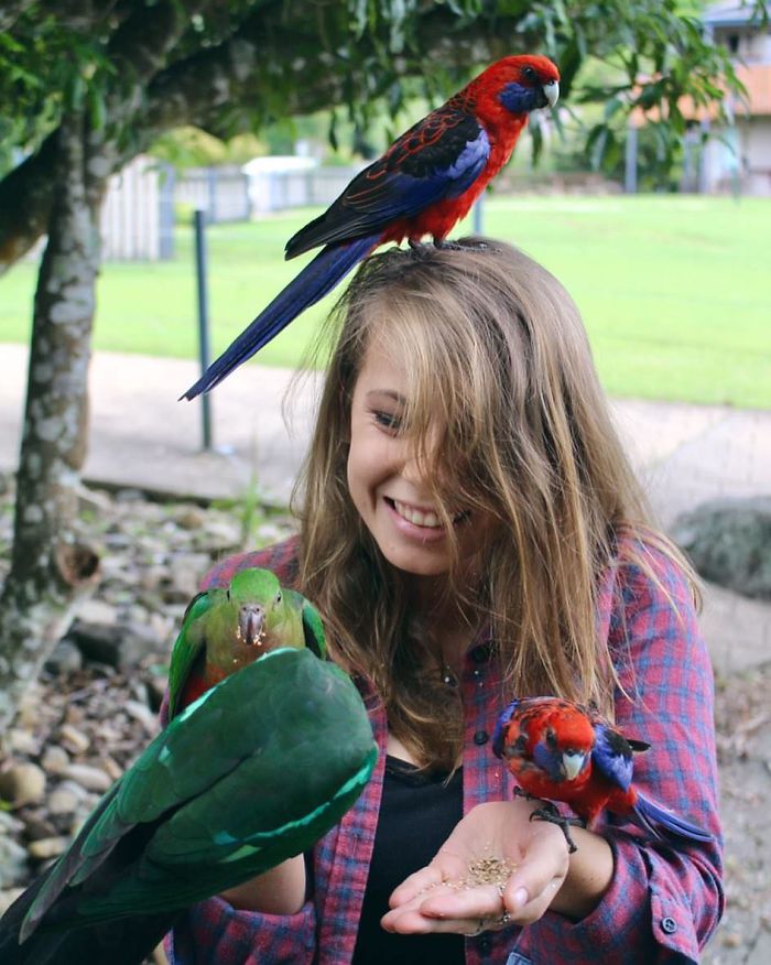 Kenalan sama Bindi Irwin, Yuk! Gadis Cantik Asal Australia yang Akrab Banget dengan Binatang Buas