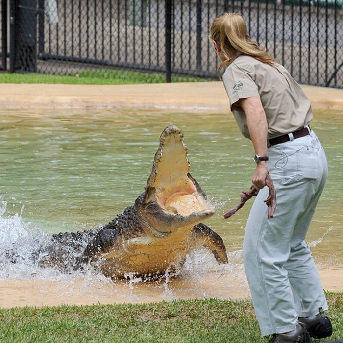 Kenalan sama Bindi Irwin, Yuk! Gadis Cantik Asal Australia yang Akrab Banget dengan Binatang Buas