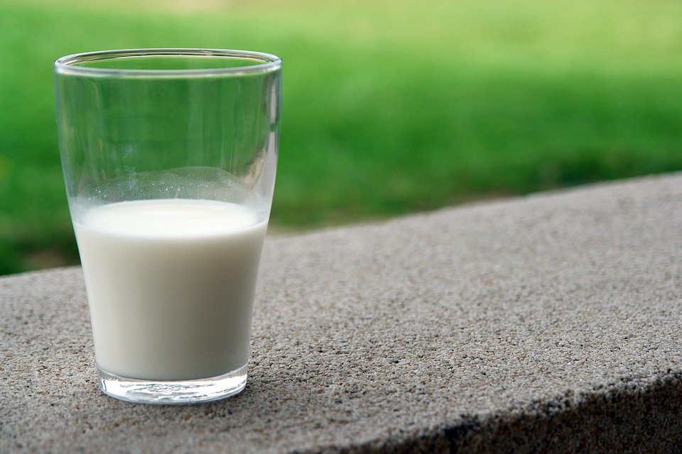 Selain Susu Sapi, Ternyata Susu Kambing Etawa Juga Banyak Khasiatnya