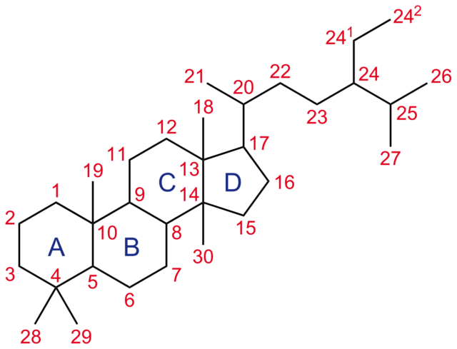 Steroid
