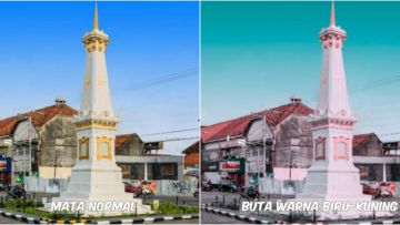 Begini Pemandangan yang Dilihat oleh Penderita Buta Warna. Fotografer Ini Menjelaskannya Lewat Foto