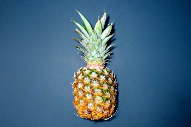Nanas Berduri tapi Banyak Manfaat