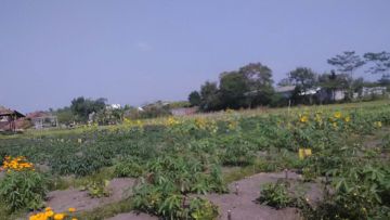 Kondisi Pangan dan Petani Malang Saat Menjelang Ramadan