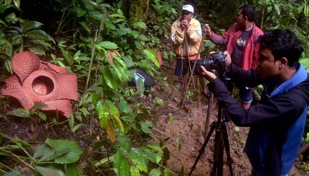 Hutan Lindung dan Segala Potensinya