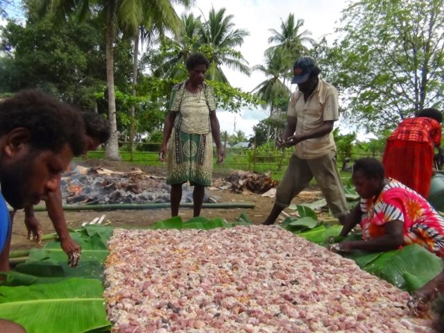 Proses pembuatan Sagu Sep