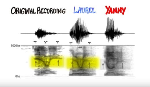 Pakar Suara Ungkap Fakta di Balik Yanny vs Laurel. Kamu yang Masih Sibuk Debat, Baca Dulu Nih!