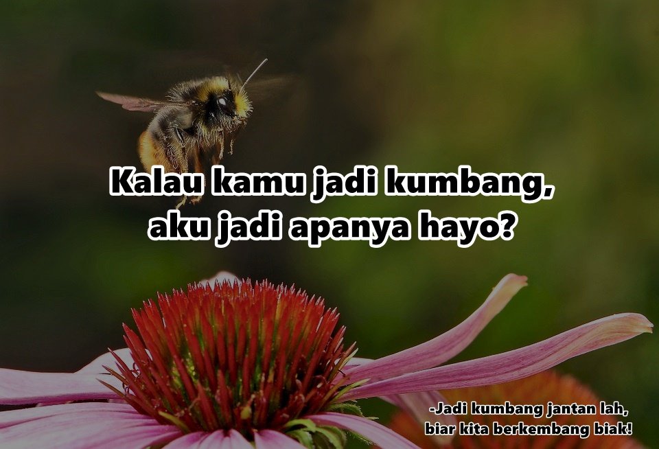 Saatnya Mengganti Pertanyaan 