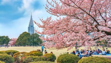 Liburan Backpackeran Ke Jepang Bersama Keluarga