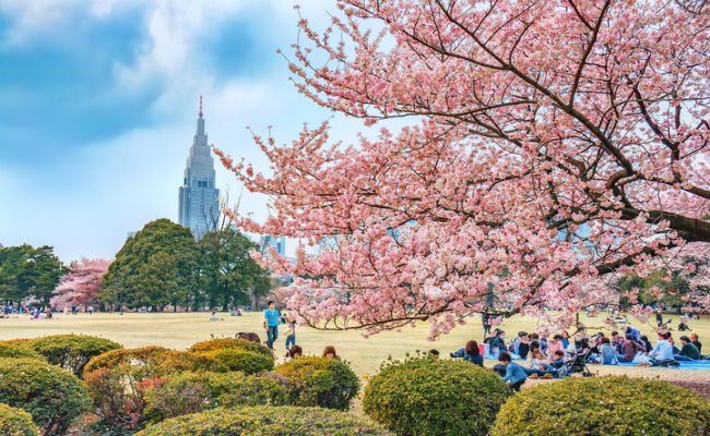 Liburan Backpackeran Ke Jepang Bersama Keluarga