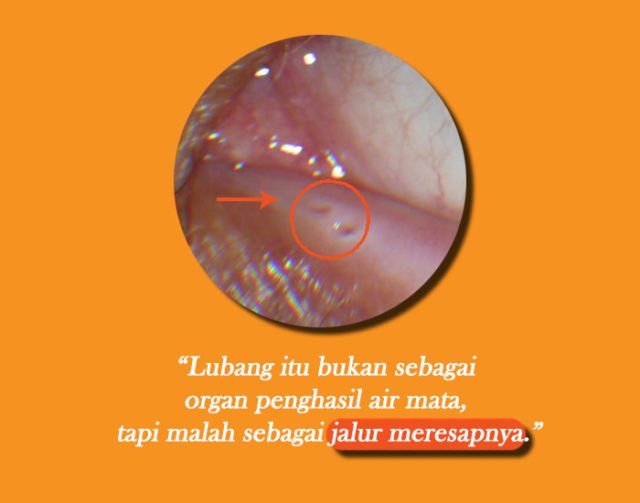 Banyak Orang Nggak Sadar Kalau Lubang di 12 Benda Ini Bukan Hiasan Doang. Ada Fungsinya Lho!