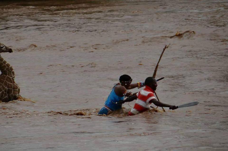 11+ Foto Penyelamatan Hewan ini Jadi Bukti Bahwa Masih Ada Lho Orang Peduli. Sudah Selayaknya, Kan?