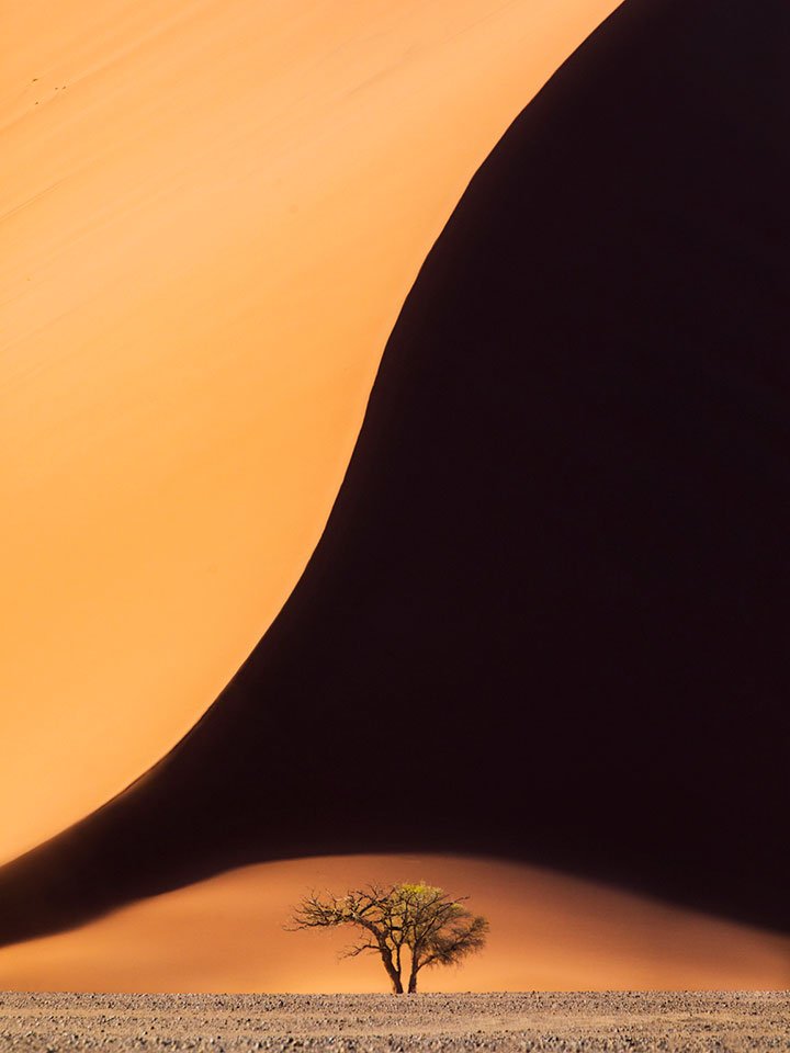 Inilah 12 Foto Pemenang The Nature Conservacy yang Kualitasnya Juara. Belajarlah dari Karya Mereka!