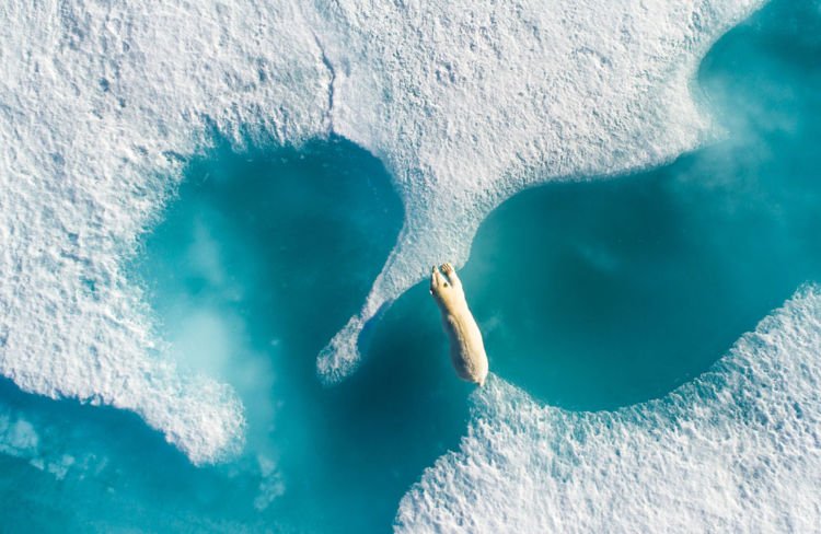 Inilah 12 Foto Pemenang The Nature Conservacy yang Kualitasnya Juara. Belajarlah dari Karya Mereka!