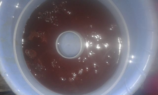   Gambar puding yang sudah jadi (sumber: dok. pribadi)