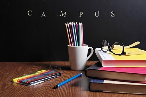 Apa Sih Untungnya Jadi Kura-kura di Kampus ?