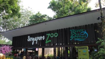 Yang Baru di Singapore Zoo: ‘Rainforest Lumina’, Program Jalan-Jalan Penuh Pesona di Malam Hari