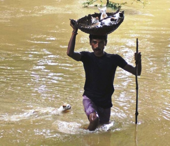 11+ Foto Penyelamatan Hewan ini Jadi Bukti Bahwa Masih Ada Lho Orang Peduli. Sudah Selayaknya, Kan?