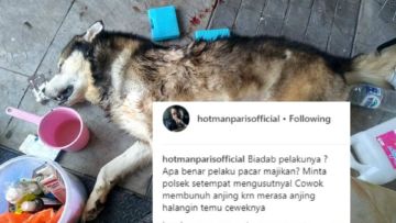 Cemburu Macam Apa yang Sampai Tega Membunuh Seekor Anjing? Cinta Nggak Sebuta itu, Sayang!