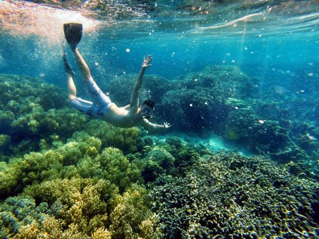 terumbu karang pulau pahawang!