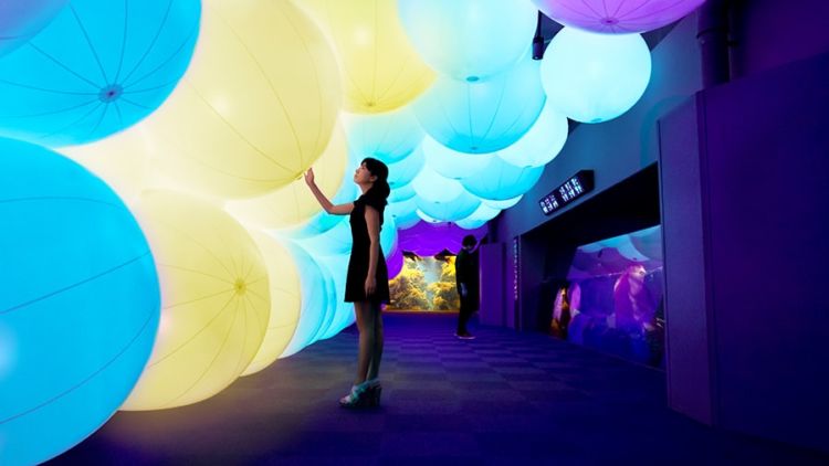 MORI Building Art Digital Museum di Jepang, Galeri Seni Digital Masa Depan yang Menakjubkan!