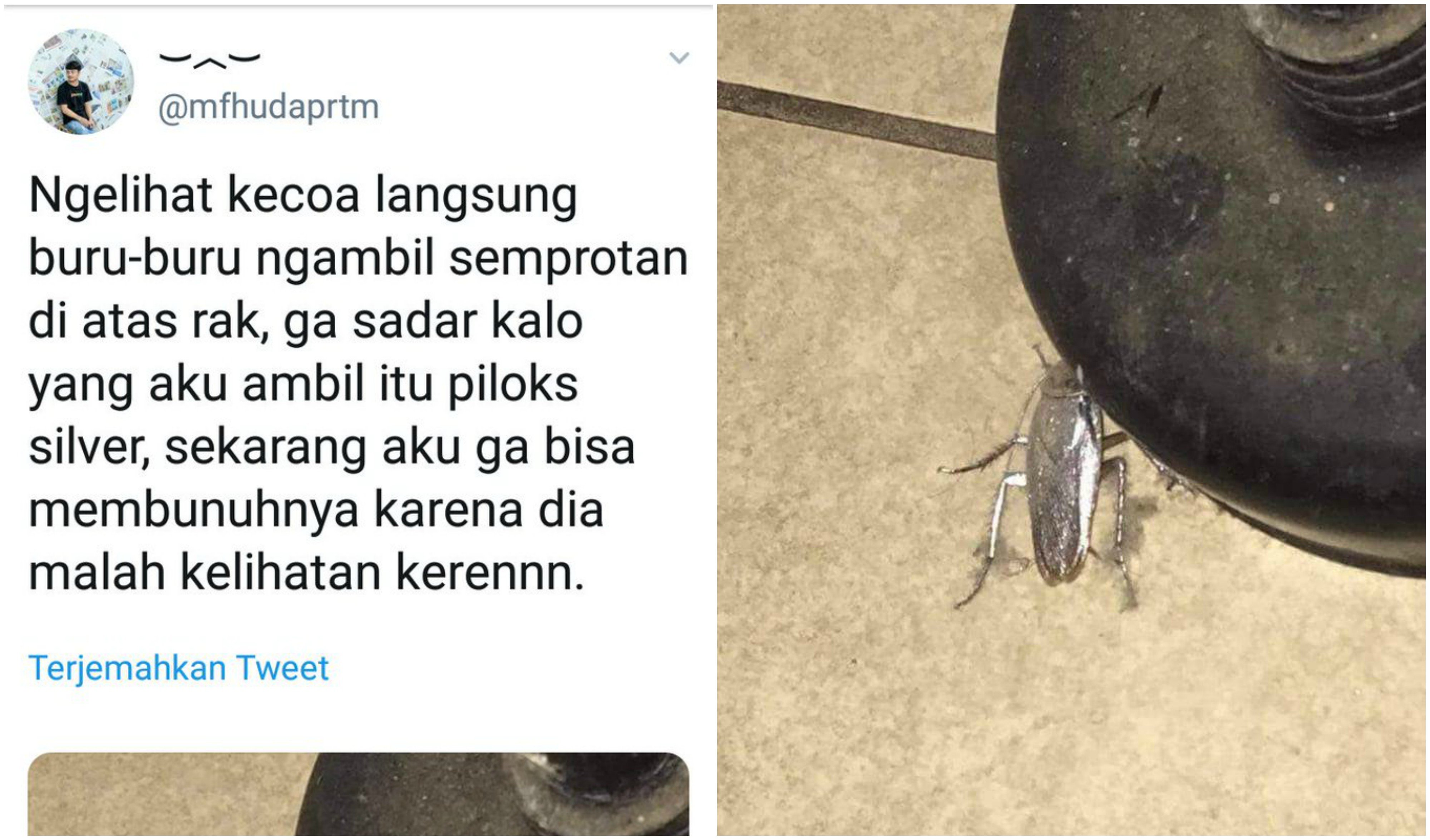 Dilema Copy Paste Saat Unggah Status di Medsos demi Like dan Komentar. Kreativitas yang Terbatas?