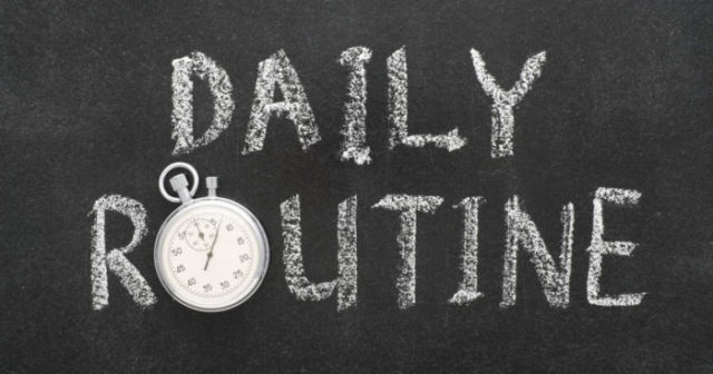 Daily Routine