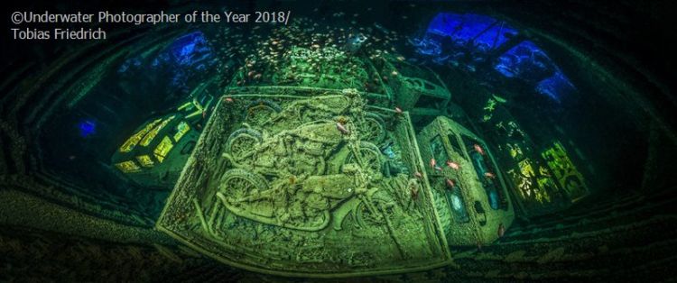 Daftar Foto Pemenang Underwater Photography of The Year 2018. Foto Bawah Laut Selalu Menakjubkan ya!
