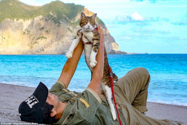 Daikichi dan Fuku-Chan, Duet Kucing Asal Jepang yang Suka Traveling. Imut dan Unyu Banget Sih