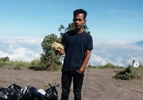Pendaki Bandel Memetik Edelweiss di Gunung Merbabu. Ini Dia Hukuman yang Dijatuhkan Untuknya!