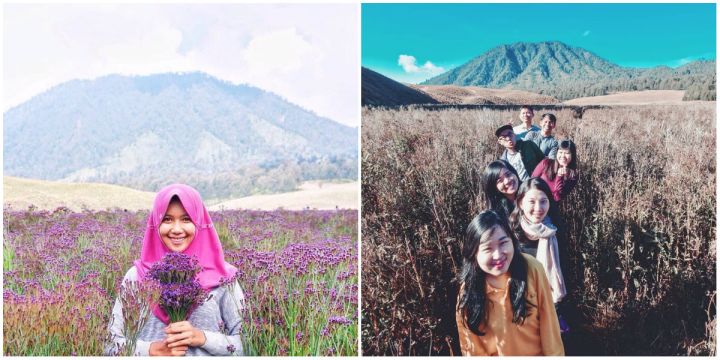 Instagramable dan Patut Dilestarikan, Inilah 7 Padang Savana yang Masih Alami di Indonesia!