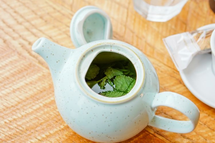 10+ Khasiat Rahasia Daun Spearmint yang Bisa Kamu Manfaatkan. Harga Murah tapi Manfaatnya Segudang!