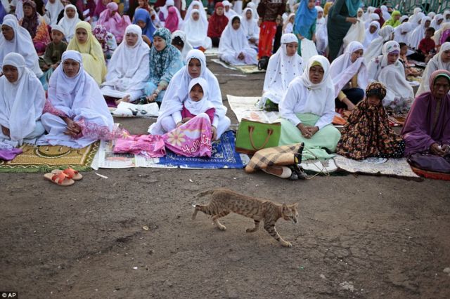 10+ Potret Idul Adha di Berbagai Negara. Beda-beda Tapi Makna Berkurban dan Saling Berbaginya Sama