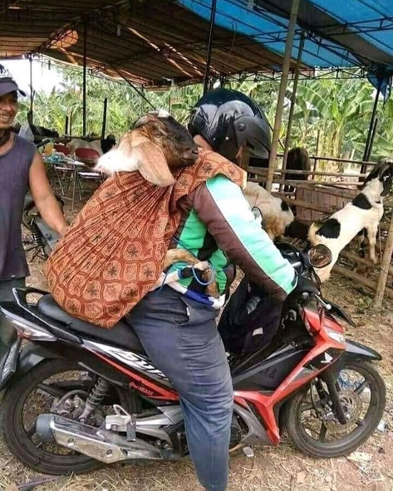 15 Momen Berat Abang Ojol Saat Antar Pesanan Nggak Logis. Dari Kasur Sampai Kulkas, Dibawa Pake Motor!