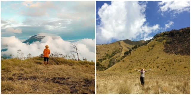 Padang rumput gunung sindoro