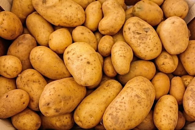 15 Makanan yang Justru Kurang Baik Kalau Disimpan di Kulkas, Manfaatnya Bisa Hilang Tak Berbekas