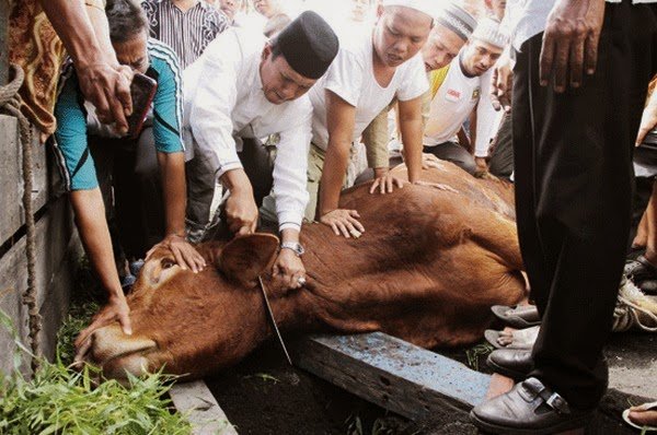 10+ Potret Idul Adha di Berbagai Negara. Beda-beda Tapi Makna Berkurban dan Saling Berbaginya Sama