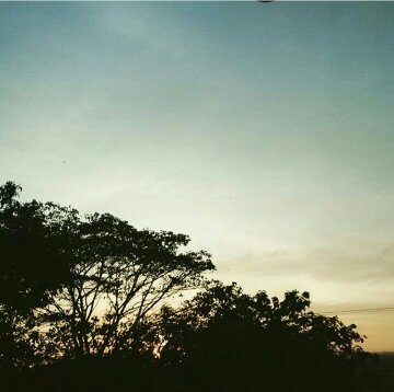 #PuisiHipwee; Senja Masih Bersamamu, Jatuh, Kamu dan Bisik Rindu