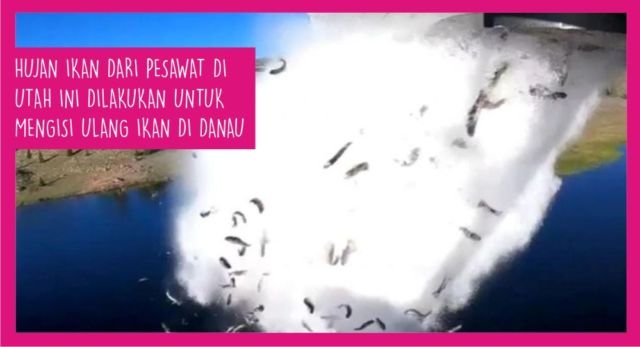 Dari Roy Suryo Ditagih Kembalikan Karpet sampai Seleksi CPNS. Inilah 15 Berita Populer Minggu Ini